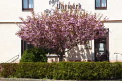 06.05.2016-5-Tage-Bubentour-ins-Erzgebirge-43_wm