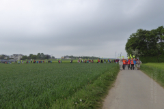 10.05.2018-Geierlei-Haengebruecke-02_wm