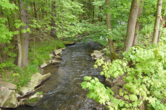 25.05.2017-Papatagstour-ins-Erzgebirge-04_wm