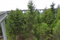 31.05.2019-Bubentour-2019-Bayerwald-Run-26_wm