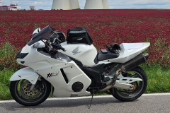IMG-20250530-WA0027