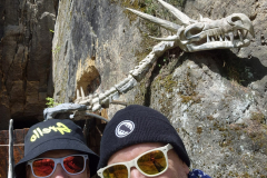 IMG-20260514-WA0022