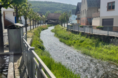 image00030_wm