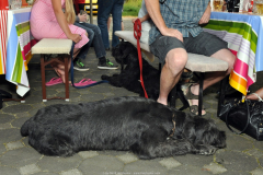 03.08.2012-8.-Jojos-Urlaubsvertretungsstammtisch-2012-20