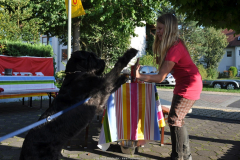 19.08.2011-7.-Jojos-Urlaubsvertretungsstammtisch-2011-03