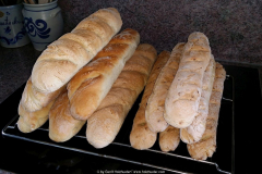 31.07.2015-11.-Jojos-Urlaubsvertretungsstammtisch-2015-01