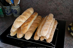 31.07.2015-11.-Jojos-Urlaubsvertretungsstammtisch-2015-02